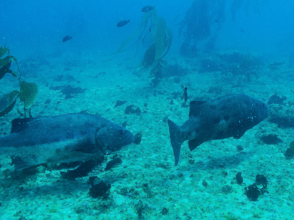 e9bb7e14-ba0e-403d-b548-030bf8fbf3b5