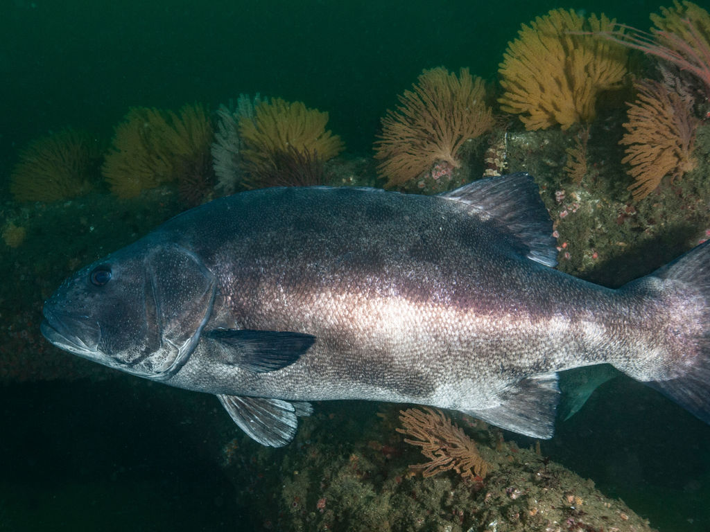 8f0d368b-9c6f-40aa-a27e-759910f6236a