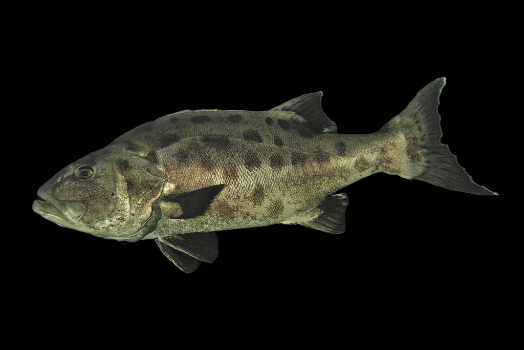 ea89aea2-85d7-44b3-887d-d11a4de14ad2