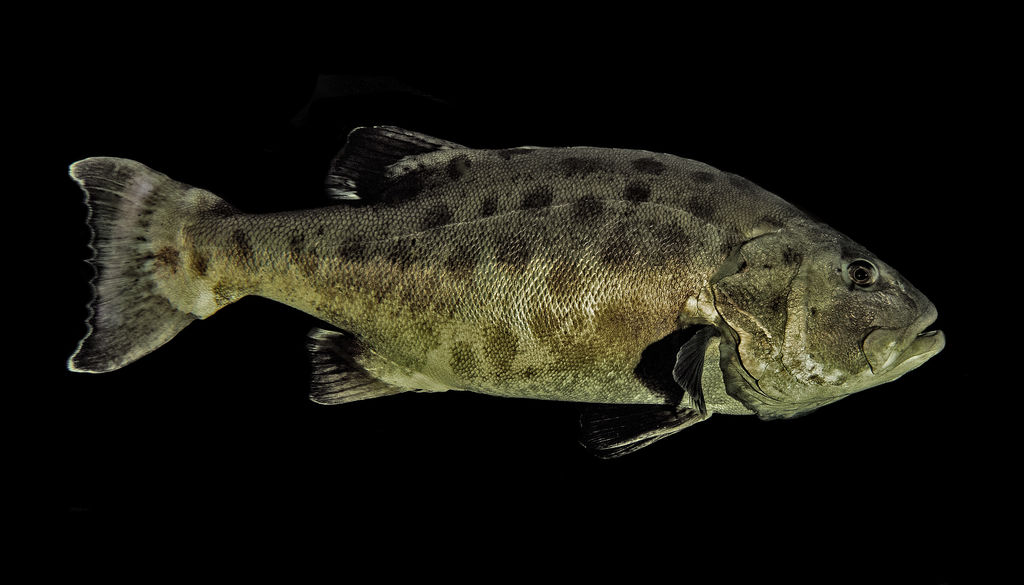 ea89aea2-85d7-44b3-887d-d11a4de14ad2