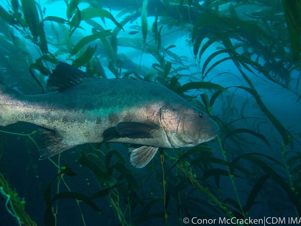 aa6dc739-c893-4dce-b901-ce9ec806d504