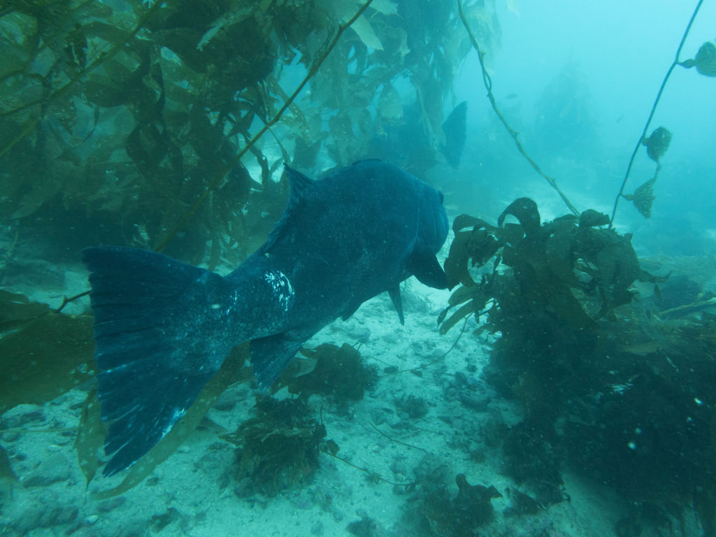 2c87afd6-cb88-45e8-a5a9-bae2b2e0ca4a