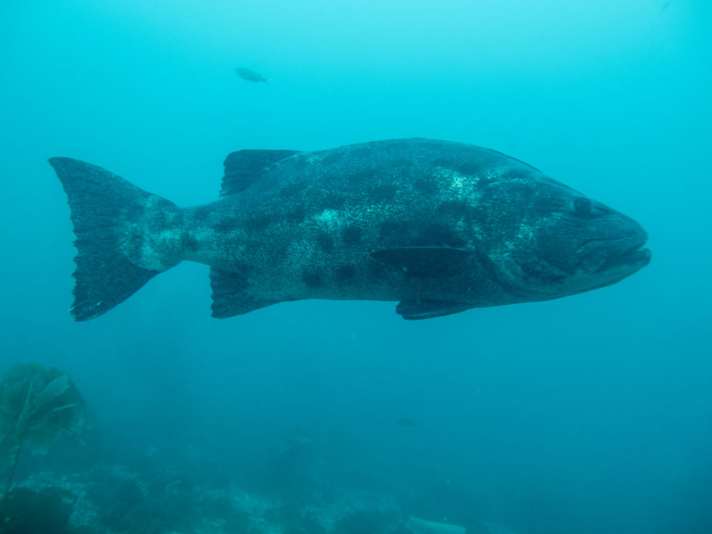 61aedc7d-70b9-4ec2-9749-d5be629f2544