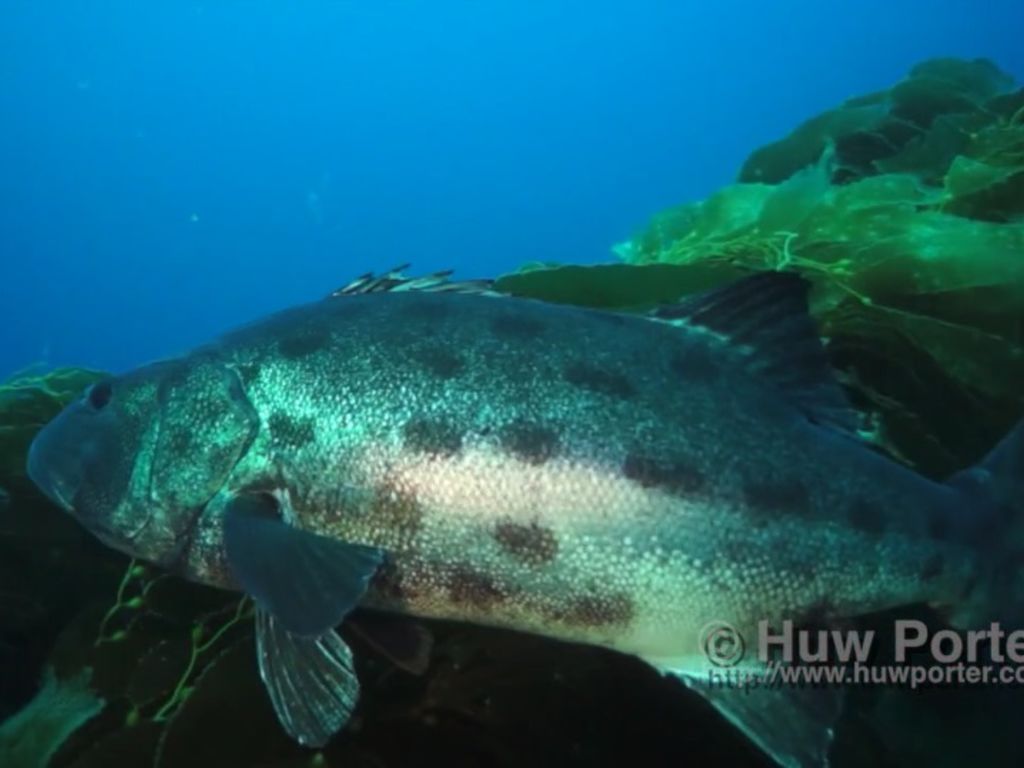 a534a0a0-db67-4118-bbfa-16aad9c0c705