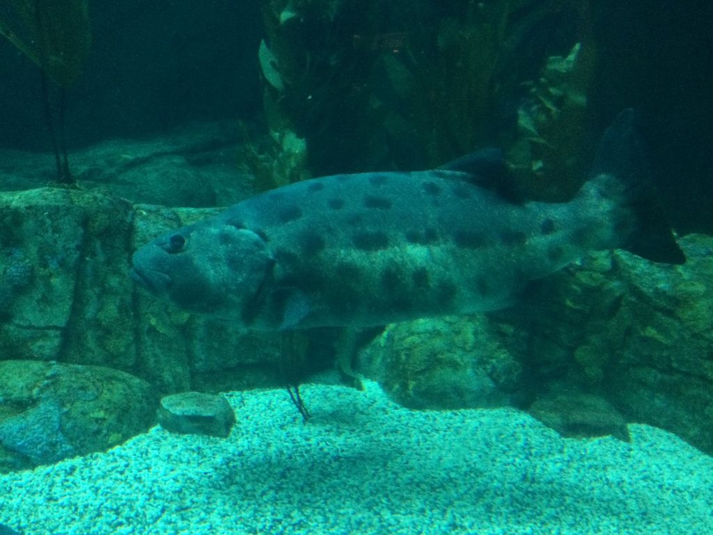 2f108471-2a01-4808-a015-bacbe5ad035b