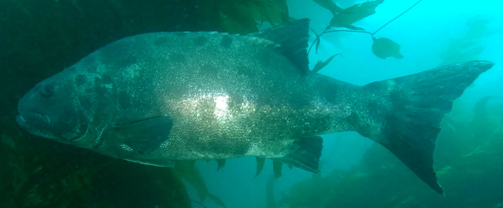 029d789a-dea3-4e5d-8607-89c5734400d2