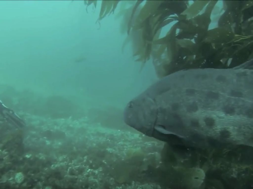 36f1f5d0-50cc-4868-a577-dc8959faf999