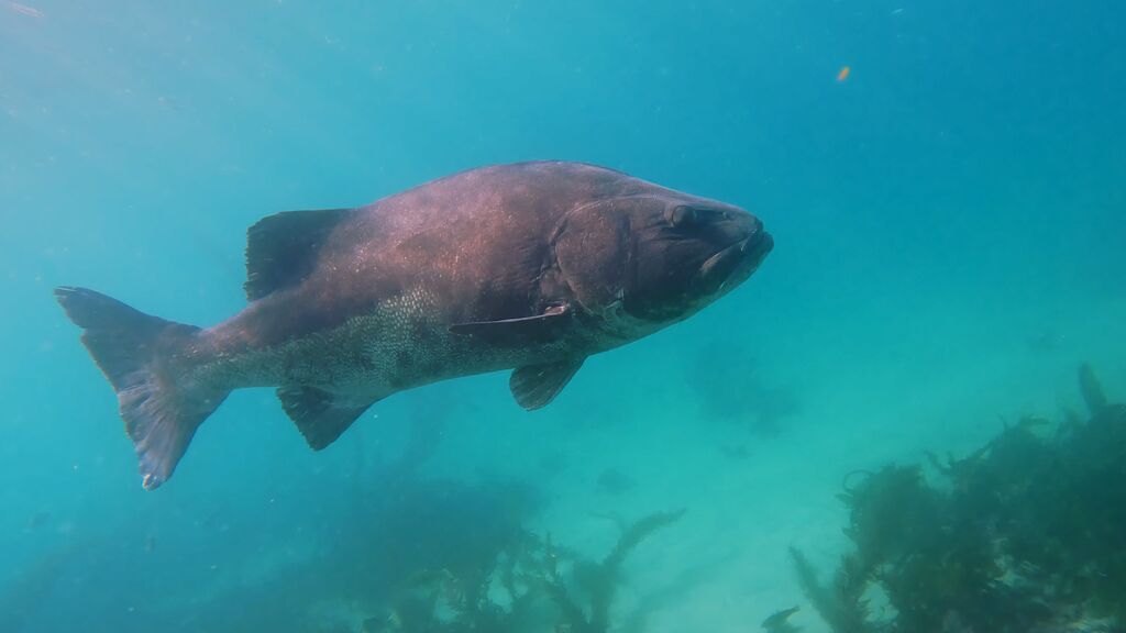 591083b4-d505-4c78-806f-c3f0d1f62441