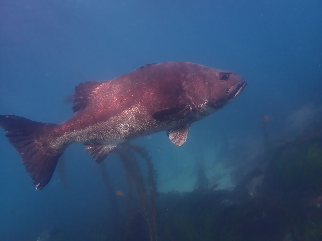 591083b4-d505-4c78-806f-c3f0d1f62441