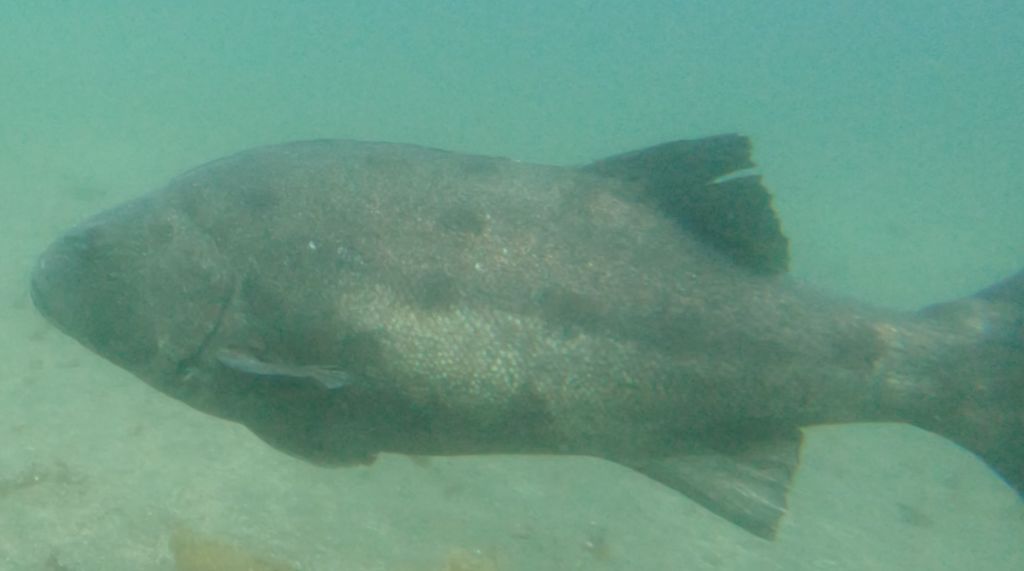 f0c12c88-dba5-4cb9-b671-576028599cc4