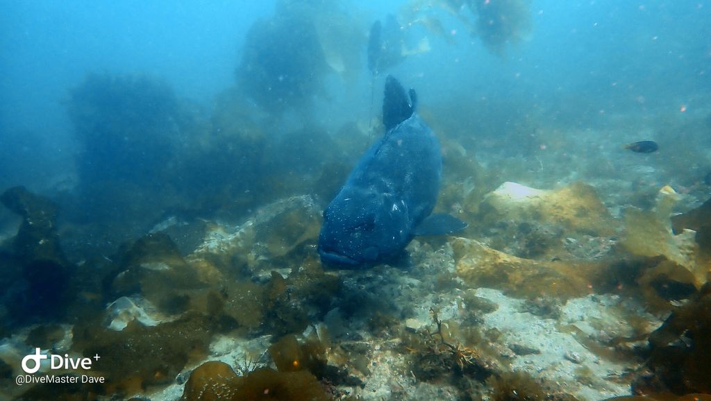 f5205dd8-7230-49e3-bd6c-2339fb4f7924