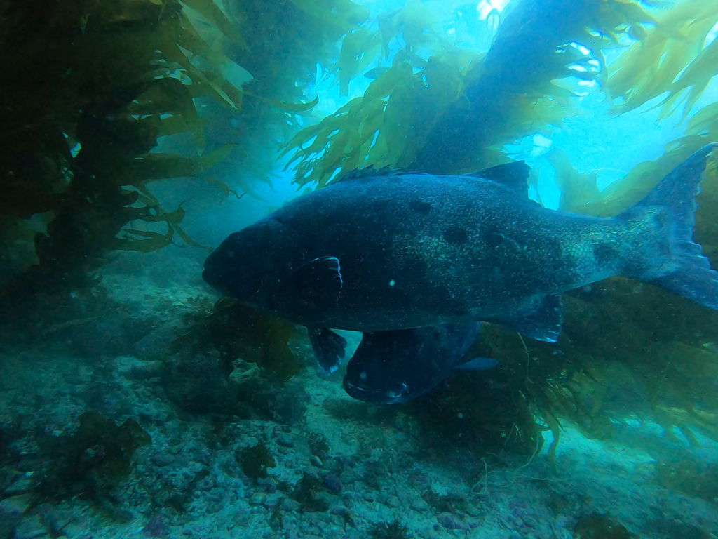 4d7fb03a-6de1-4f67-87f8-814f31398697