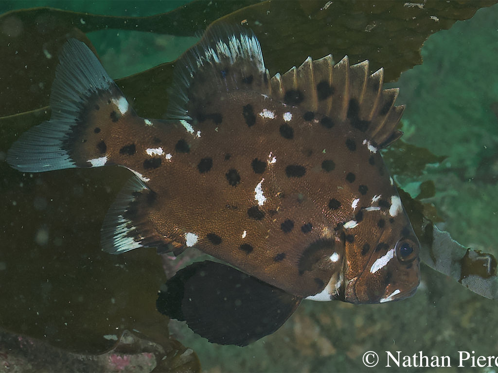 425d6b75-676b-44c0-9970-ca2418a0bd24