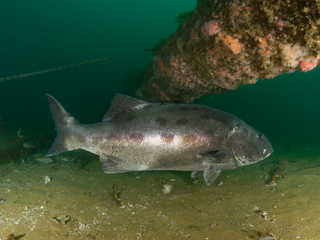 9d938deb-a821-4db1-8300-7ccf767ddf46