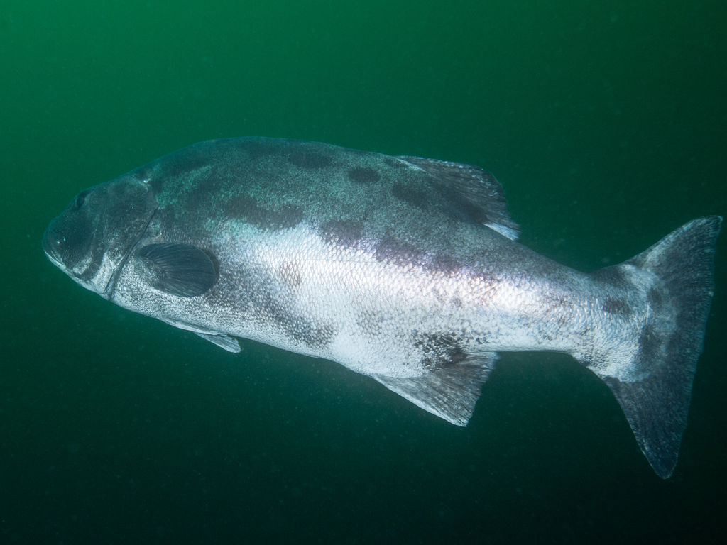 e7116184-2623-414b-a9d7-fc83ebb53a53