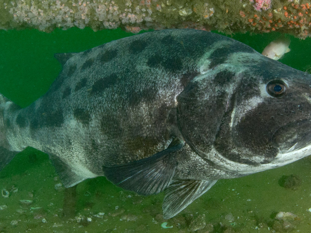 e7116184-2623-414b-a9d7-fc83ebb53a53