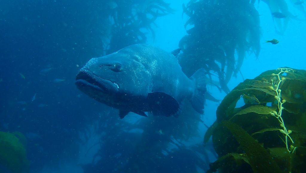 3067e7f2-9ba7-454a-a7bb-283cfd1ebcbe