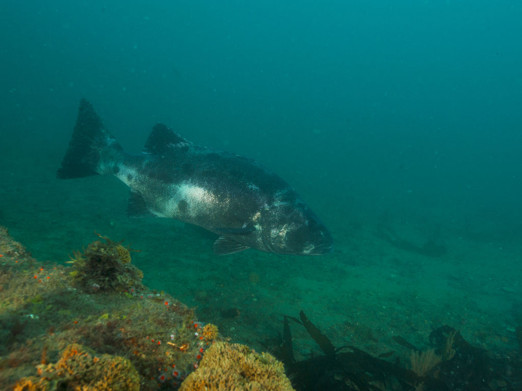 659ce3f6-63cb-4a27-bf3f-6d3467e8edb7