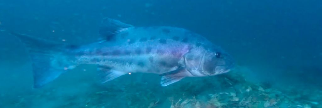 0b4546b8-9ef1-47a5-bb35-48cea1c2899e