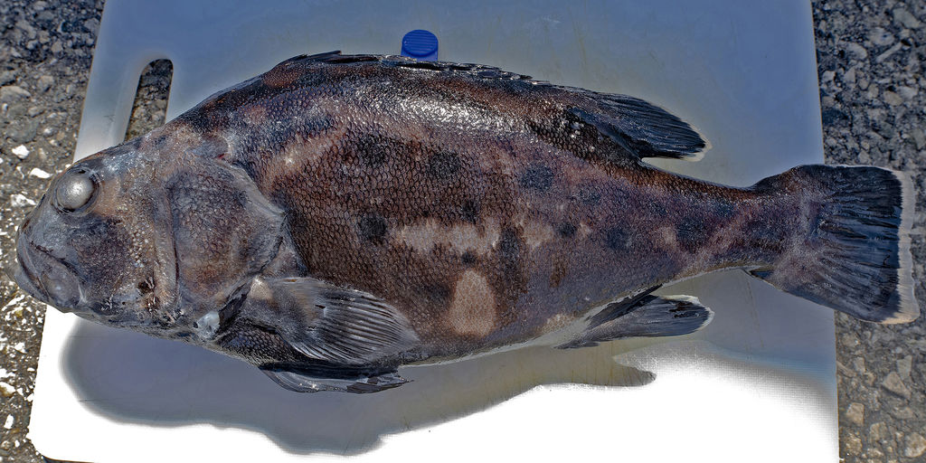 c5814268-f535-4e62-ab4f-484de1c035e1