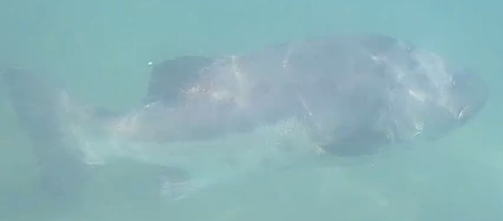 ce0a19bf-4a4b-4720-93b4-0ebf9f52ceab