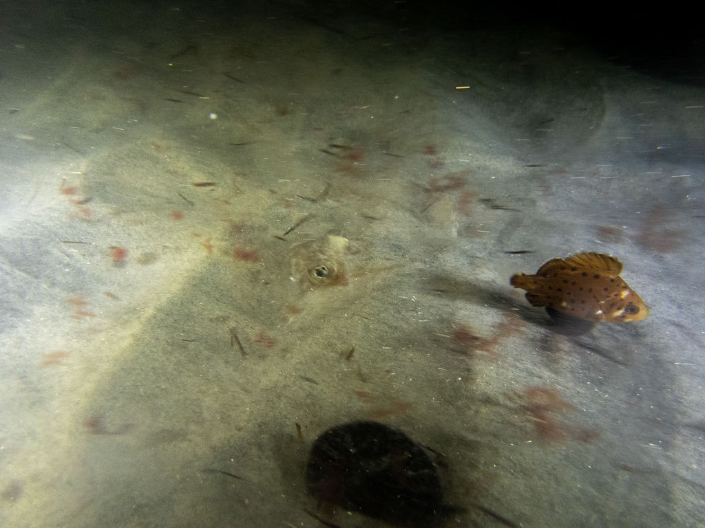 44ca432d-bc88-4432-b889-eadfa446fba8