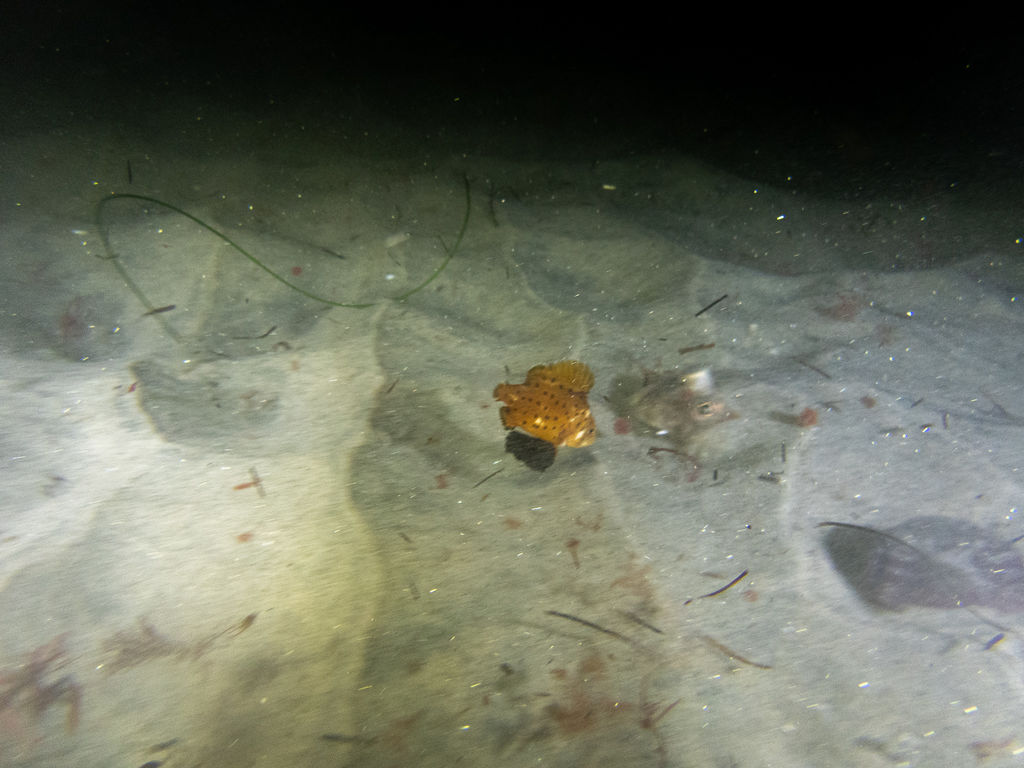 44ca432d-bc88-4432-b889-eadfa446fba8