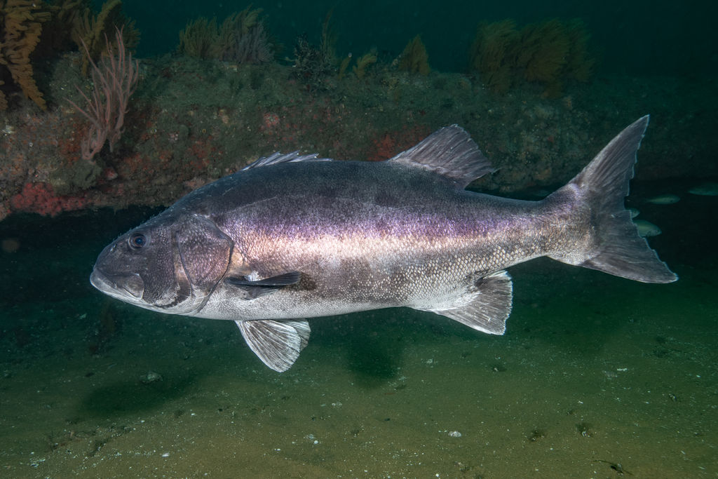 4a00aca0-c9bc-4954-91ff-fde997c9d368