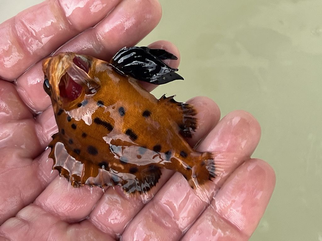 0fdaf510-2e48-4281-b149-340f99003fb8