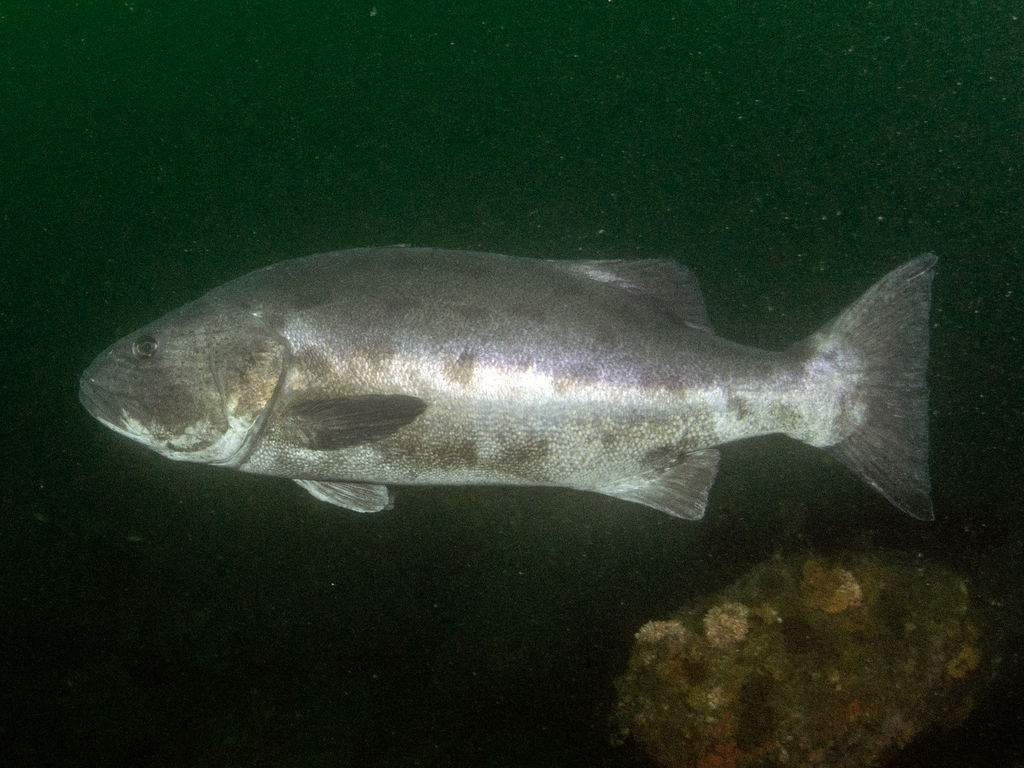 5db1a57c-2771-4998-b81b-c5ade5fea373