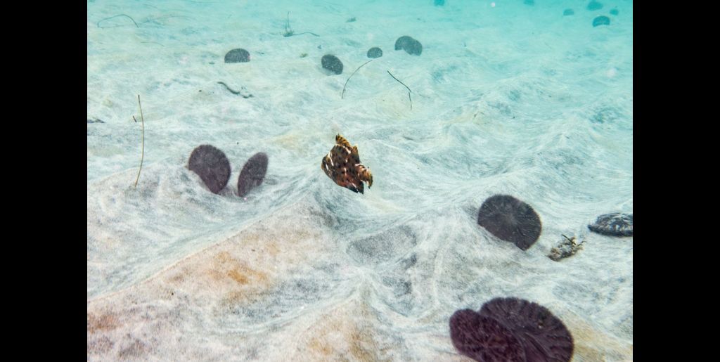 73a297c9-80f1-4b91-bf5c-b5a466fca054