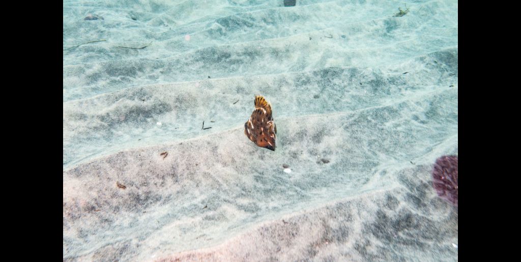 73a297c9-80f1-4b91-bf5c-b5a466fca054