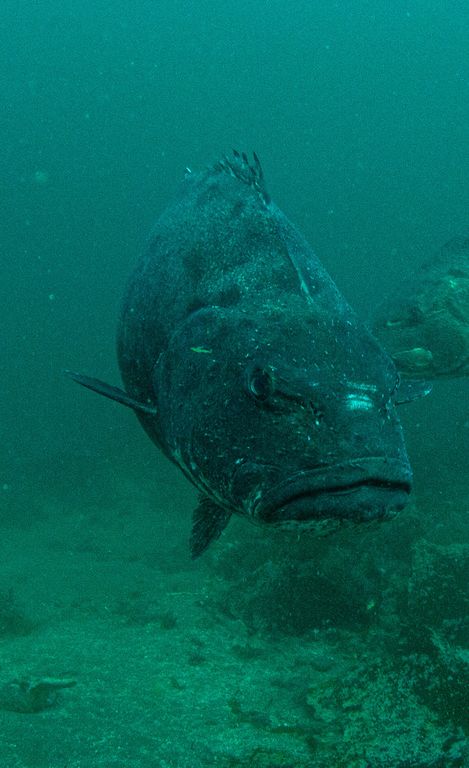 a2aa7d6d-7111-4da4-8889-9f5d7396e11f