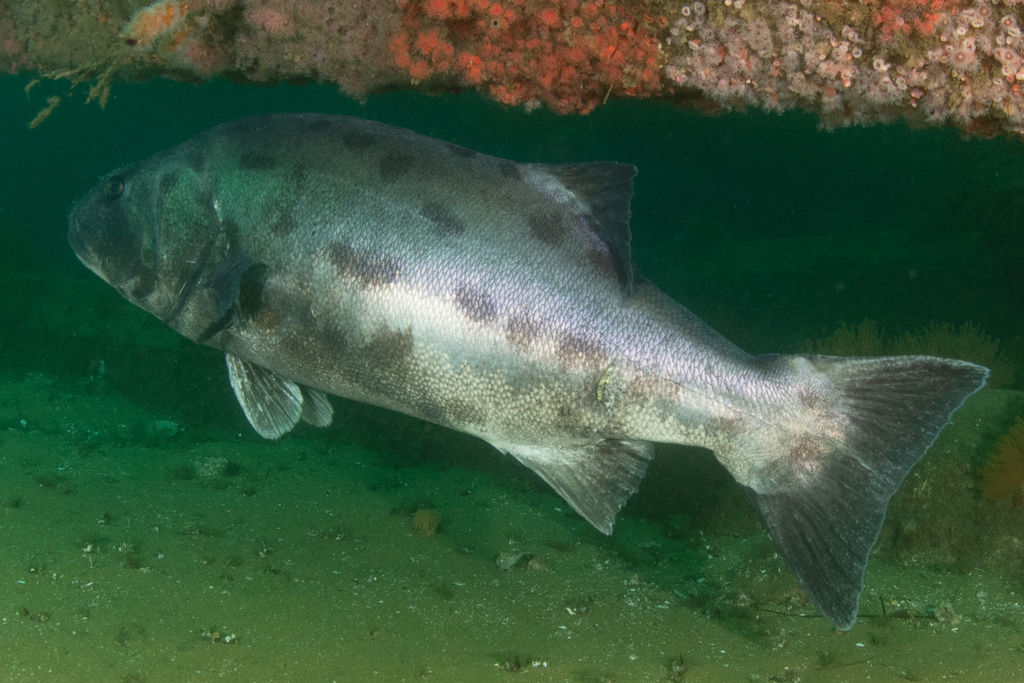 813c4016-59ff-4497-aa9c-9998e494cab2