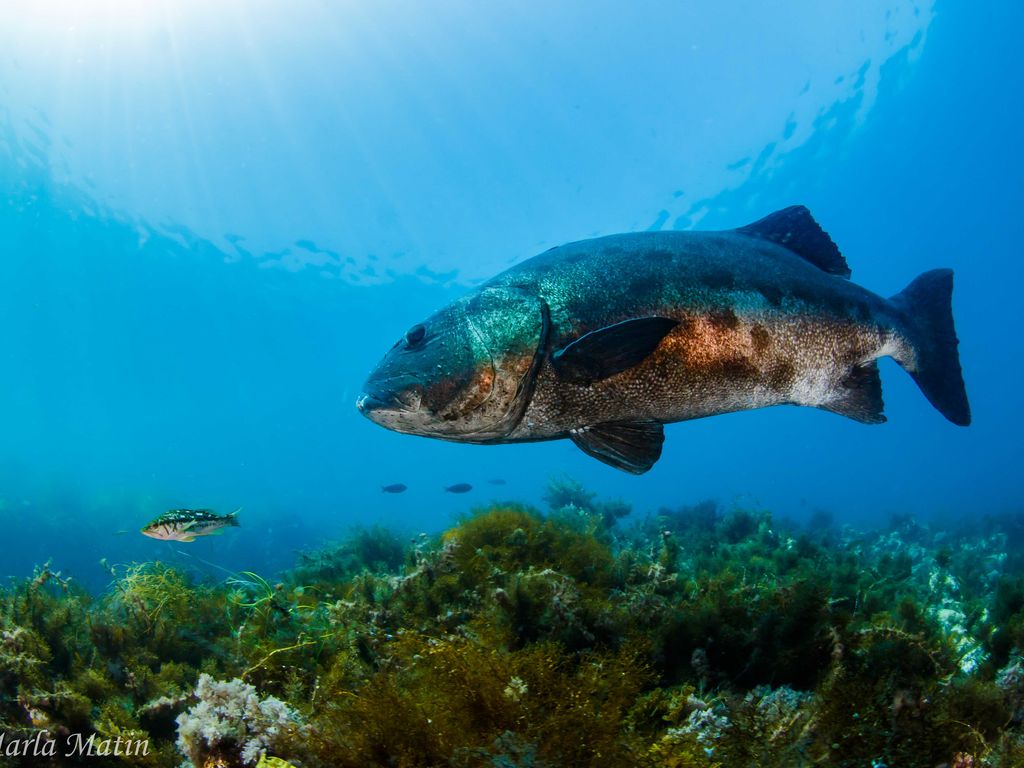 56bf6bc2-737c-48ba-92e5-b8f037b4b9d1