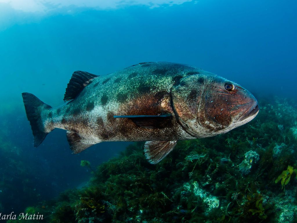 56bf6bc2-737c-48ba-92e5-b8f037b4b9d1