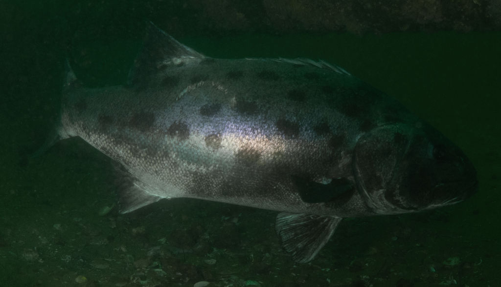 ba99bec4-876b-4602-885c-993470856497