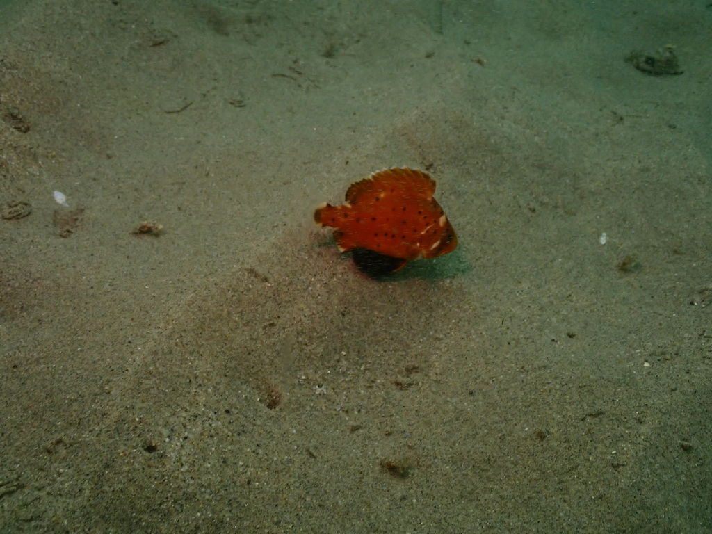 b9cb24f2-5ab9-4fb0-8148-f641c5cde2de