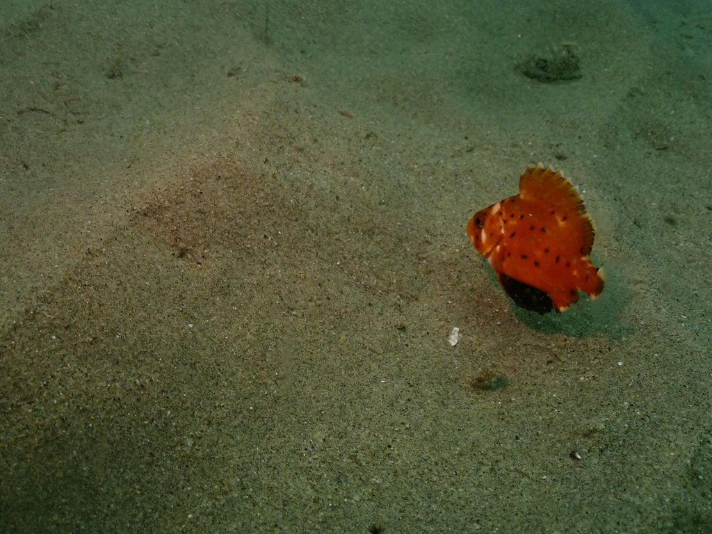 b9cb24f2-5ab9-4fb0-8148-f641c5cde2de