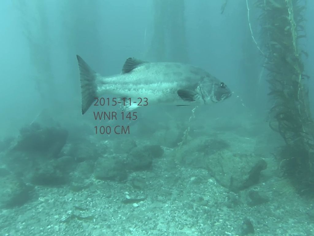 fcaf7399-7024-4368-bb10-25f88eae982c