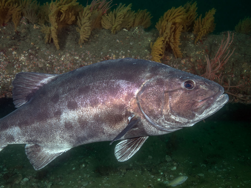 0b6b1dfd-5c3f-418e-afac-3ffbf1faedbc