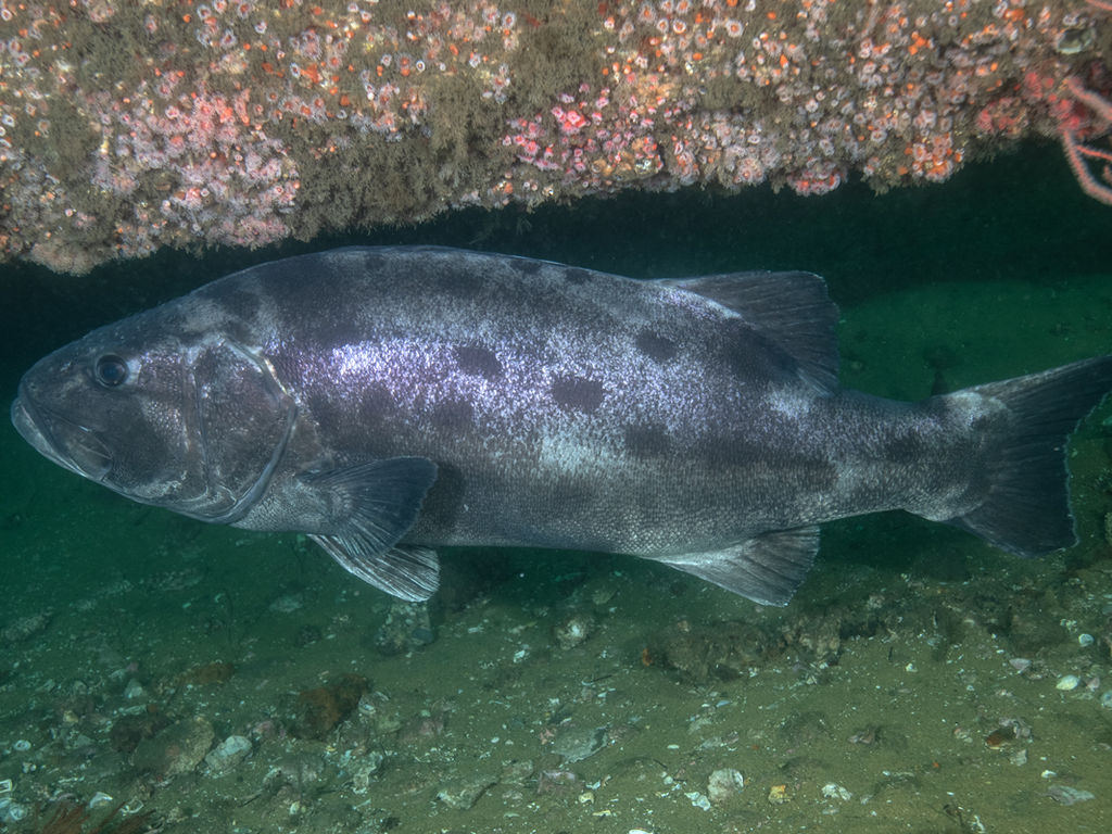 0b6b1dfd-5c3f-418e-afac-3ffbf1faedbc