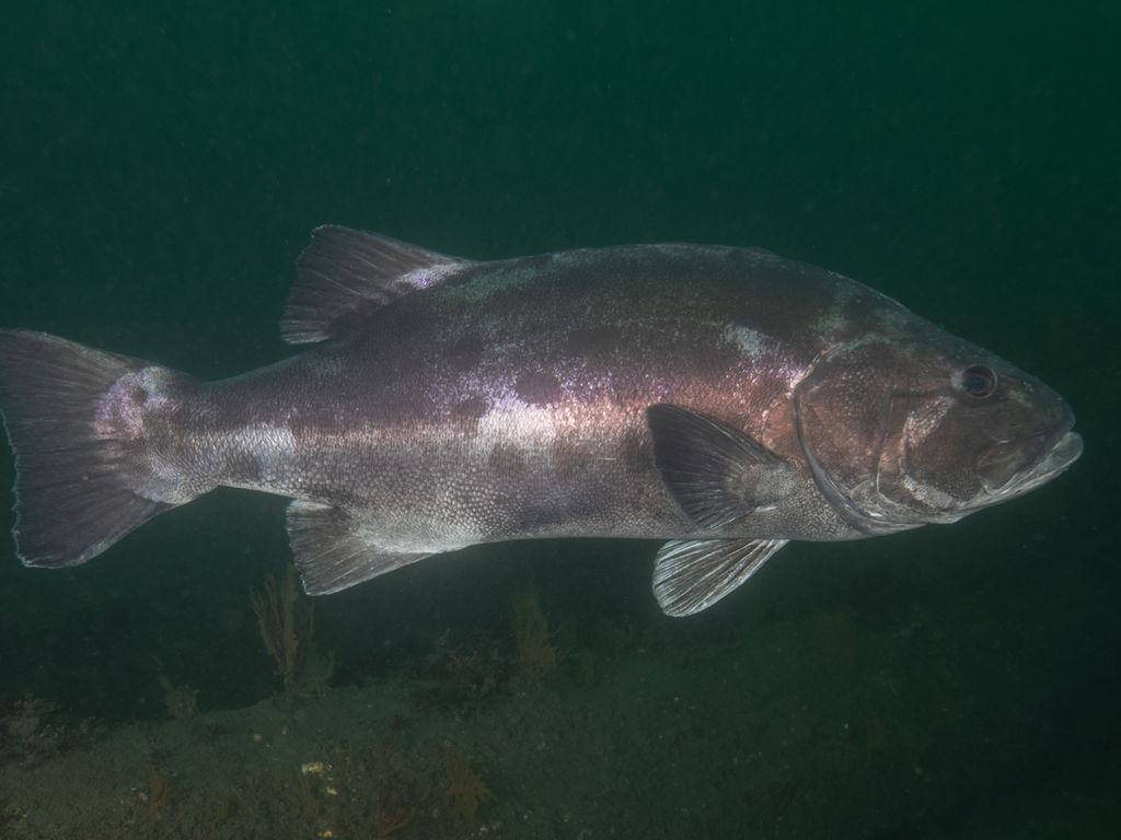 0b6b1dfd-5c3f-418e-afac-3ffbf1faedbc