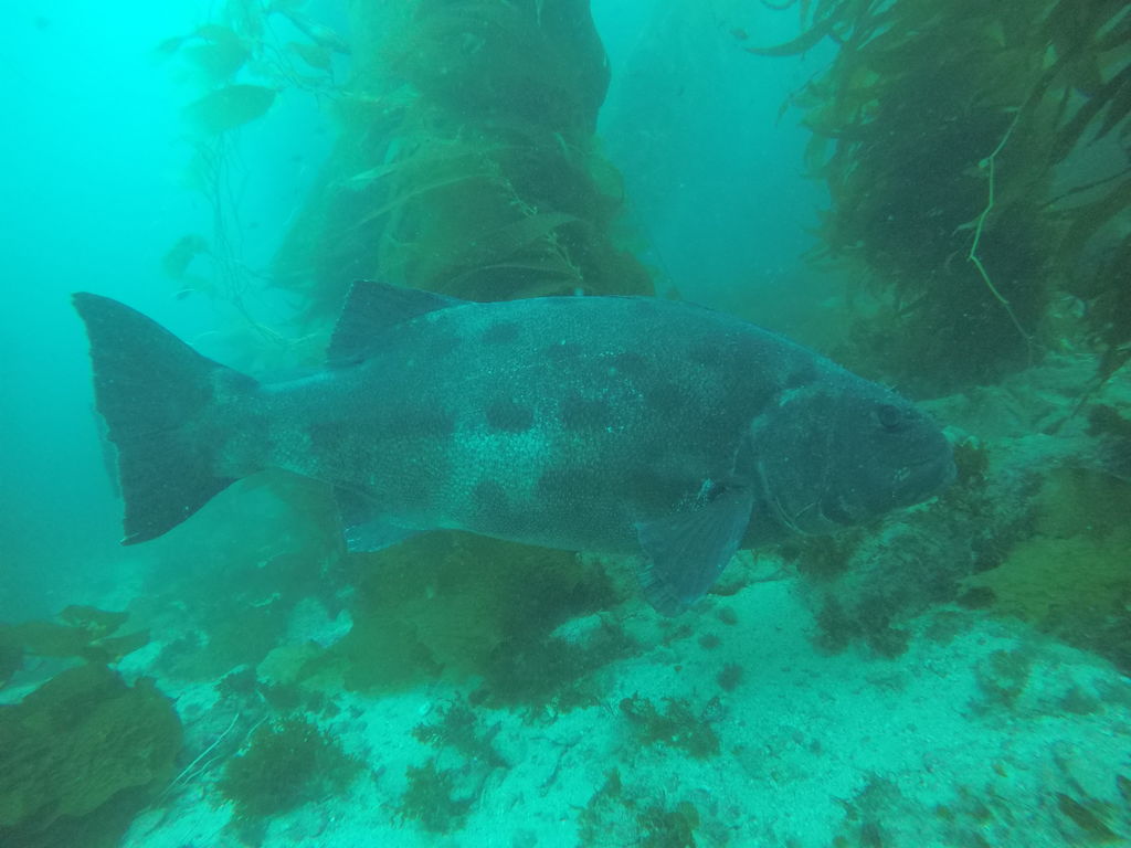 6a7779fa-e46d-4078-b0c4-7edcd15b64ad