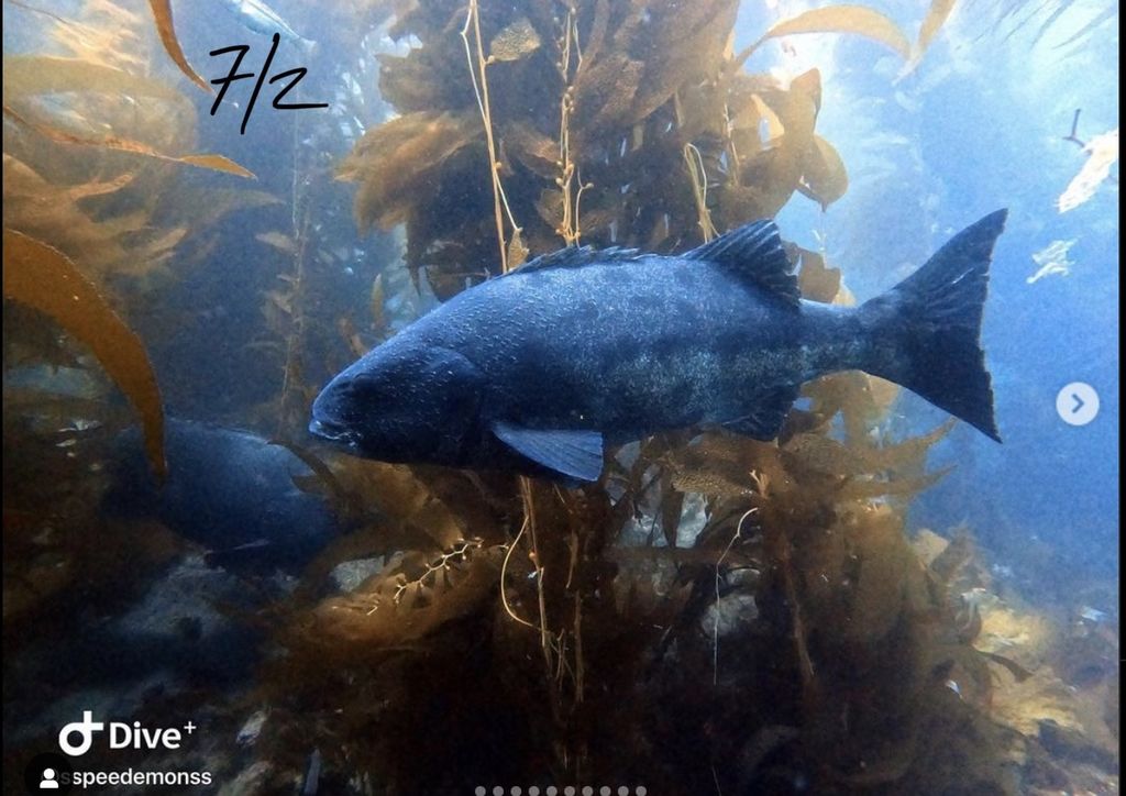 4b6d39bb-e626-469b-b81e-898758c6234d