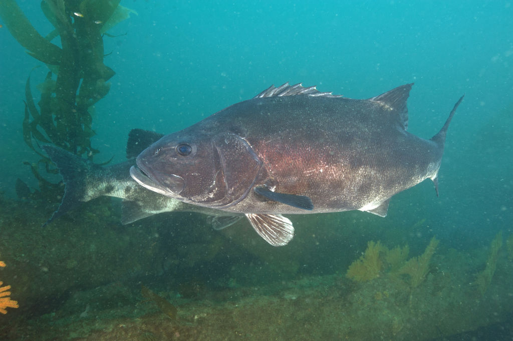 753709fd-4840-44e5-a2d7-262923f8b1dc