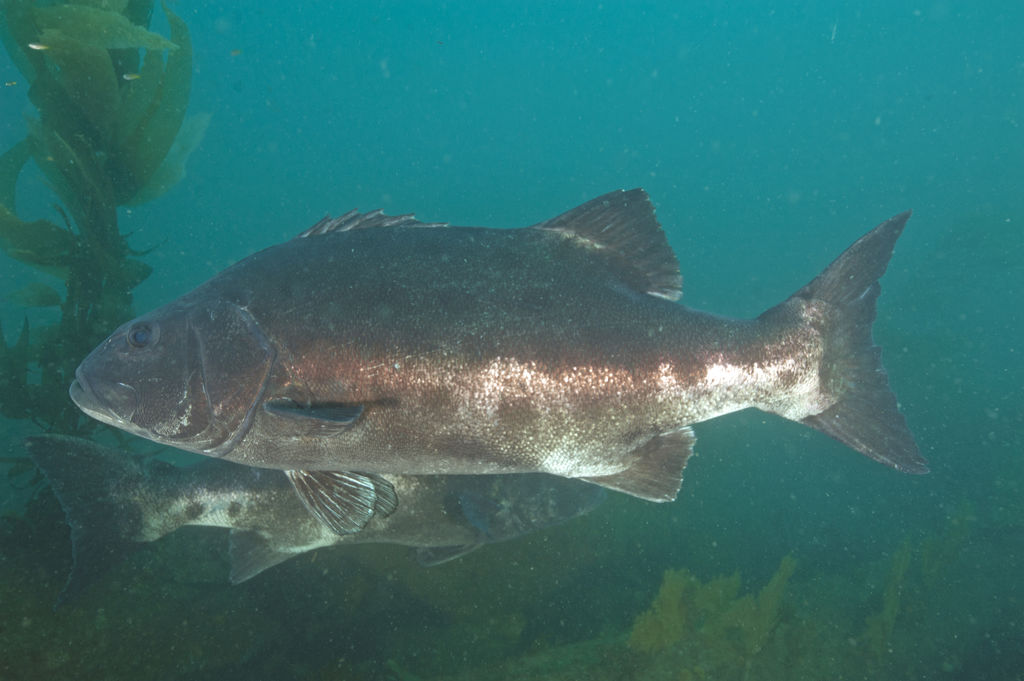 753709fd-4840-44e5-a2d7-262923f8b1dc