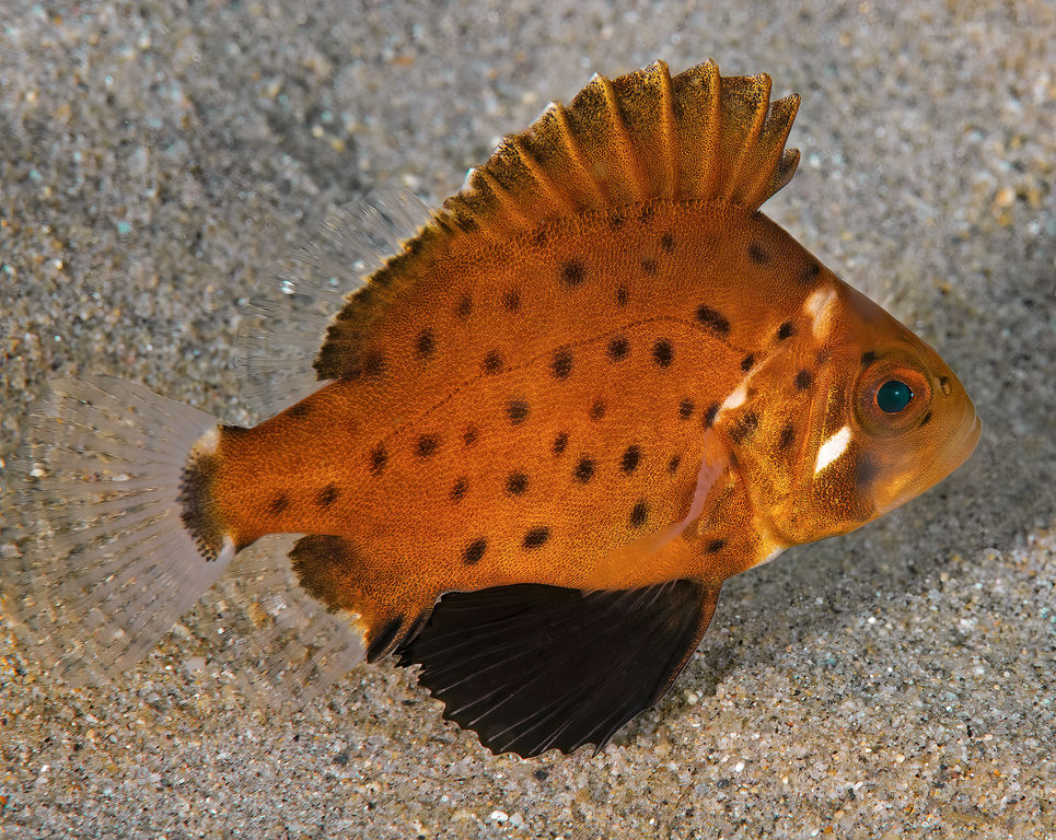 7113ba0c-0020-4296-b18e-740bf0daa537