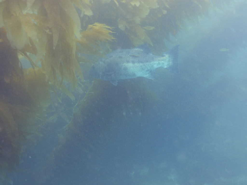 cc6d40d5-760e-41ec-9deb-a195a4f89f9c