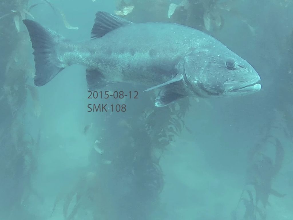 dd63c0d3-e60e-4088-a9b8-42f6f651c2e3